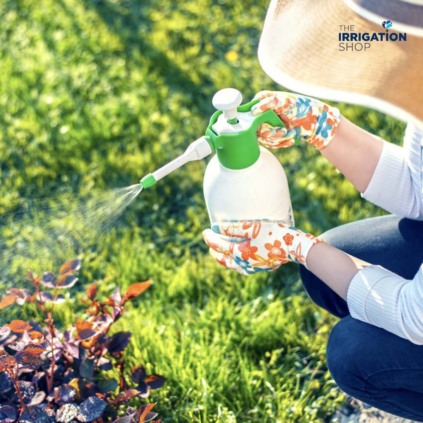 A Guide to Choosing the Right Garden Sprayer