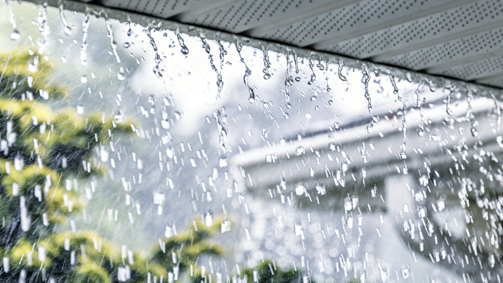 Home Rainwater Filtration Systems Guide