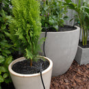 Antelco Potstream Stake