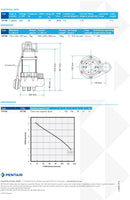 Onga VF150 Cast Iron Auto Grey Water Pump