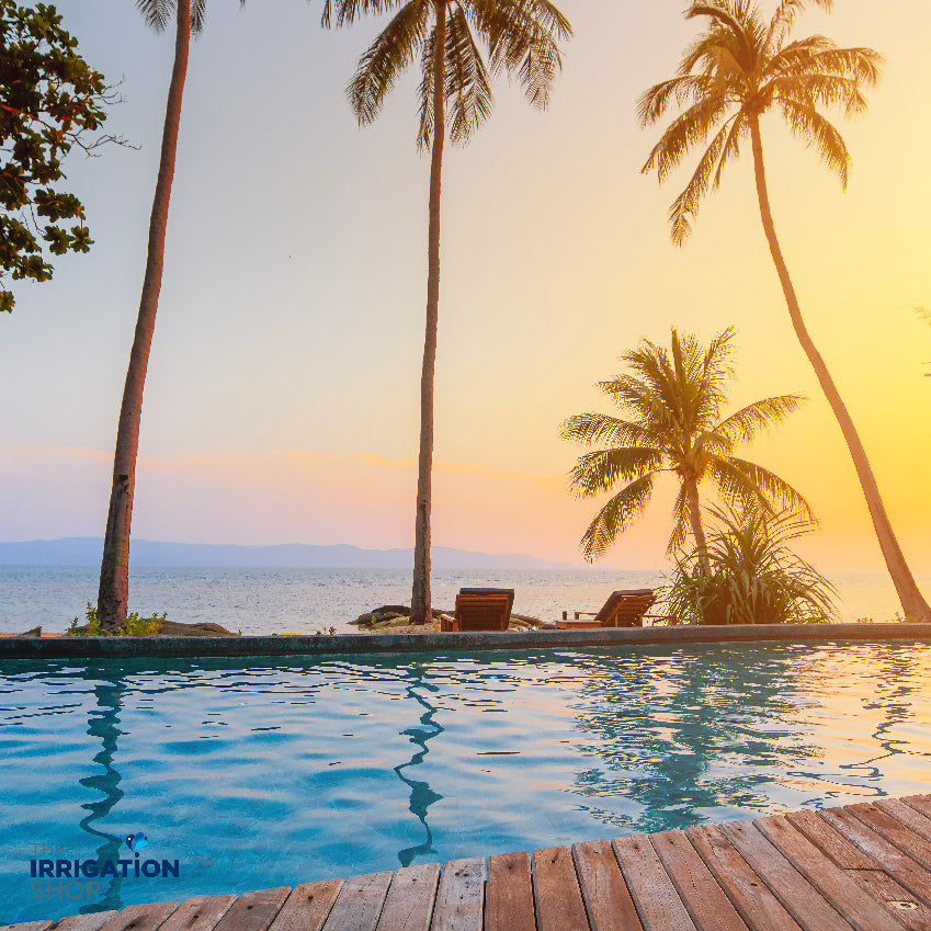 How to Choose the Right Water Pump for Your Pool