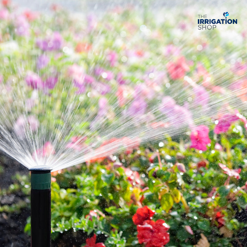 How to Optimise Your Domestic Irrigation System for Different Plants
