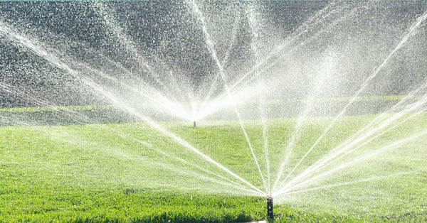 Everything You Need To Know About Irrigation Systems