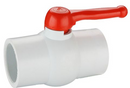 PVC Ball Valve 4" Threaded
