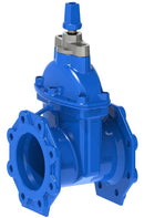 100mm AVK Resilient Gate Valve