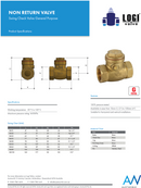 Brass Swing Check Valve 2 1/2" Female Thread