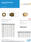 Brass 2"x 1 1/2 BSP Reducing Nipple