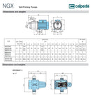 Calpeda PECO-NGXM 2/80 Jet Pump Pressure System .55KW