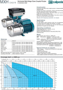 Calpeda .75KW Stainless Steel Pressure System