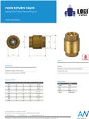 Brass Spring Check Valve 3/4"