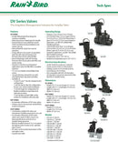 Rainbird DV 25mm Solenoid Valve With Flow Control